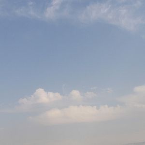 Bilder My Father My Lord