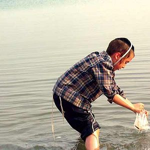 Bilder My Father My Lord