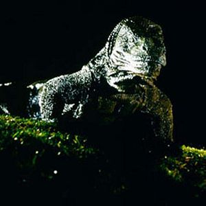 Bilder Michael Lantieri