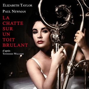 Bilder Die Katze auf dem heißen Blechdach