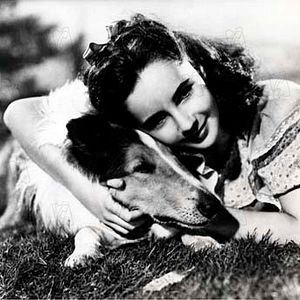 Bilder Fred M. Wilcox