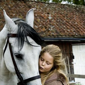 Bilder Rettet Trigger!