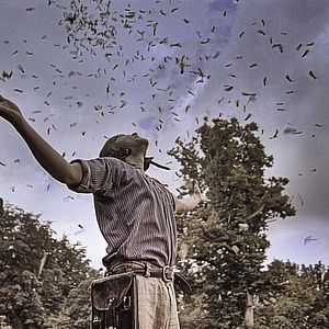 Bilder Nicht von diesem Stern