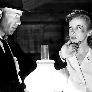 Bilder Entscheidung in der Sierra