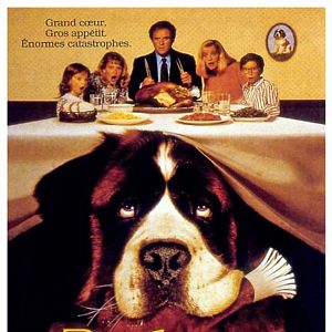 Bilder Ein Hund namens Beethoven