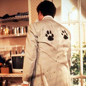 Bilder Ein Hund namens Beethoven