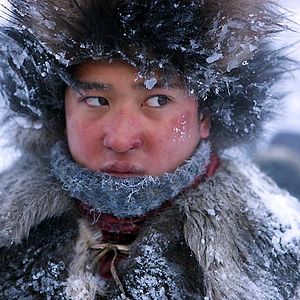 Bilder Der Junge und der Wolf