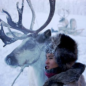 Bilder Der Junge und der Wolf