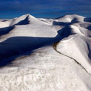 Bilder Der Junge und der Wolf