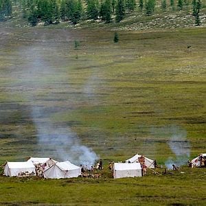 Bilder Der Junge und der Wolf