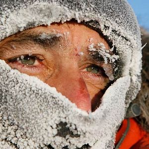 Bilder Der Junge und der Wolf