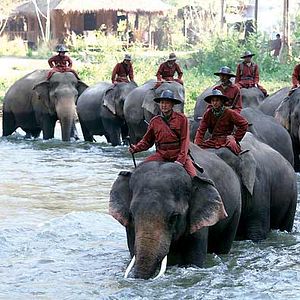 Bilder Olivier Horlait