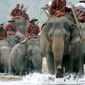 Bilder Olivier Horlait