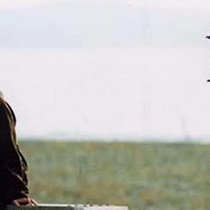 Bilder Hyun-seung Lee