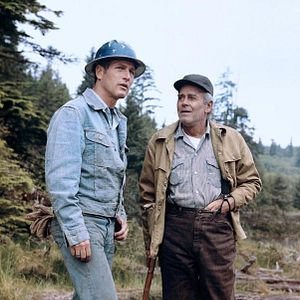 Bilder Sie möchten Giganten sein