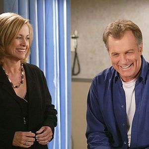 Bilder Stephen Collins