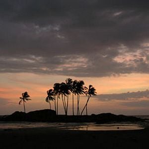 Bilder Alison Thompson