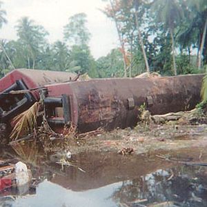 Bilder Alison Thompson