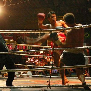 Bilder The Elephant King