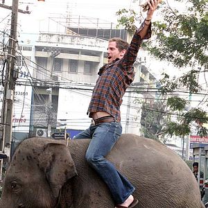 Bilder The Elephant King