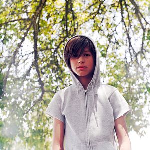 Bilder Wild Tigers I Have Known