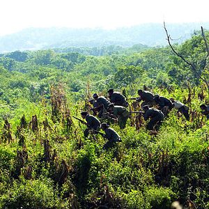 Bilder Che - Guerrilla