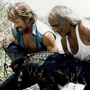 Bilder Chuck Norris - Invasion USA