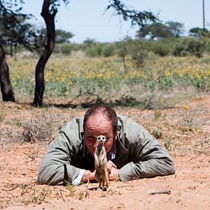 Bilder Wächter der Wüste