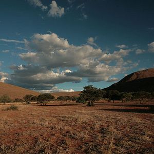 Bilder Wächter der Wüste