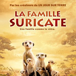 Bilder Wächter der Wüste