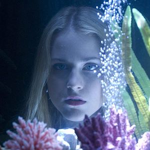 Bilder Das Leben vor meinen Augen