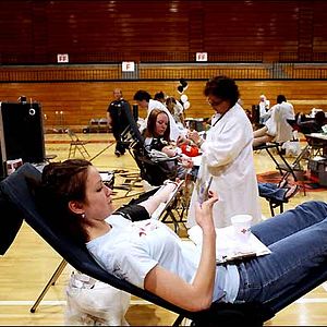 Bilder Nanette Burstein