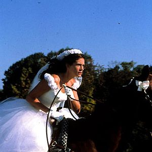 Bilder Die Braut, die sich nicht traut