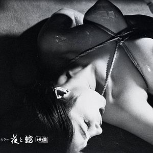 Bilder Masaru Konuma