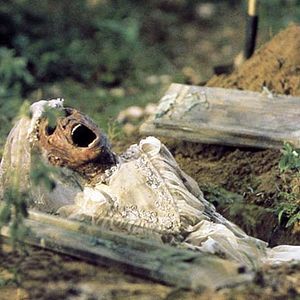 Bilder Die Schlange im Regenbogen