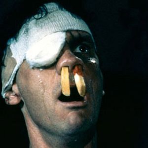 Bilder Ein Fisch namens Wanda