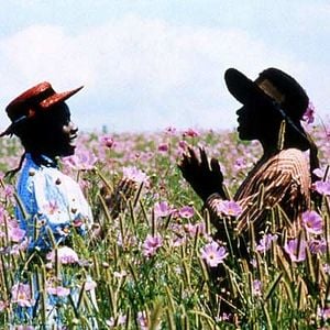 Bilder Die Farbe Lila