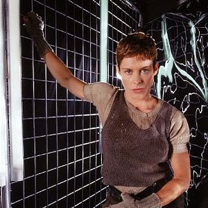 Bilder Rachel Hayward