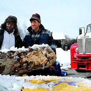 Bilder Triff die Elisabeths!