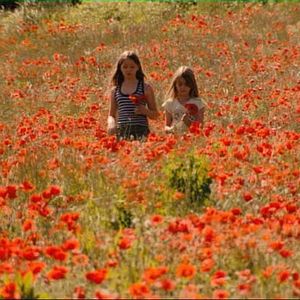 Bilder Jean-Paul Jaud