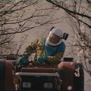 Bilder Jean-Paul Jaud