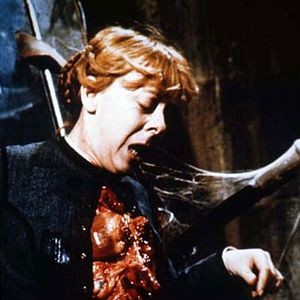 Bilder Paul Morrissey