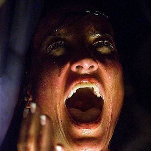 Bilder America Olivo