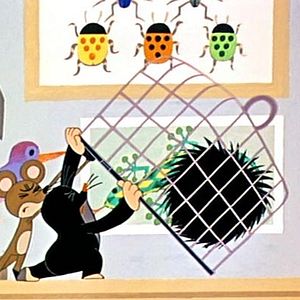 Bilder Zdeněk Miler