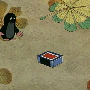 Bilder Zdeněk Miler