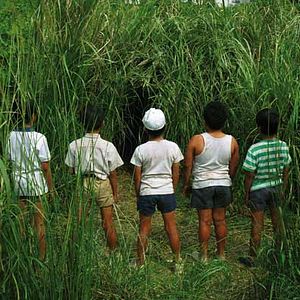 Bilder Yukihiko Tsutsumi