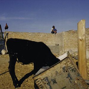 Bilder Andréa Santana