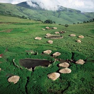 Bilder Das Geheimnis der Flamingos