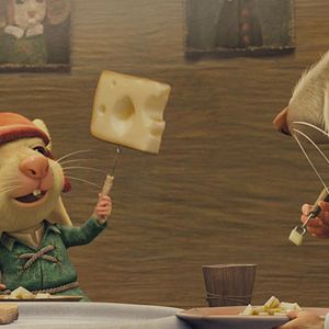 Bilder Robert Stevenhagen