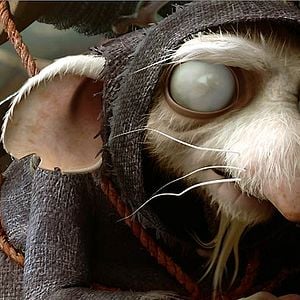 Bilder Robert Stevenhagen